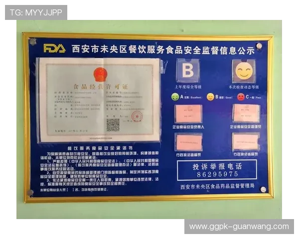 欧博官网网站安全保障措施，确保用户资金与信息安全的全面解析