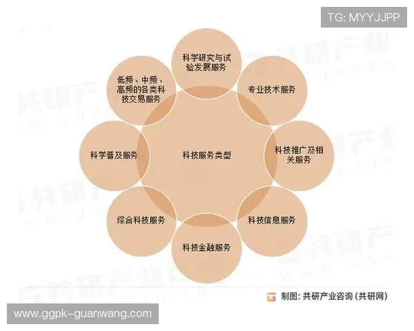 盈胜国际：未来发展方向与行业趋势的深度解读